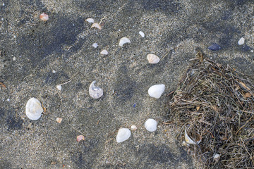 Sand and pebble texture 2