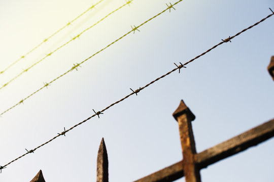 Prison fence in barbed wire fence closeup - security escape concept - sun flare on a corner