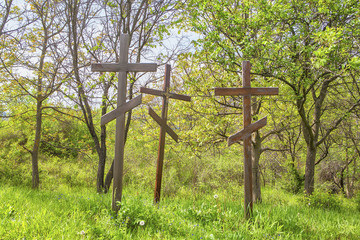 wooden cross in forest