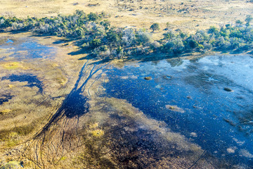 Okavango delta (Okavango Grassland) is one of the Seven Natural Wonders of Africa (view from the...