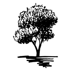 Monochrome tree silhouette sketched line art isolated vector