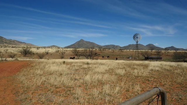 A vintage windmill on a cattle ranch