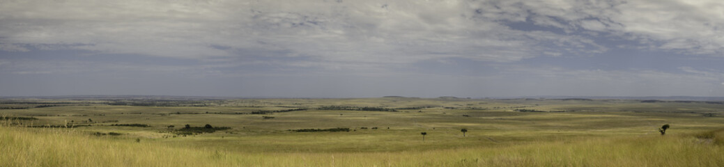 Africa, savannah, Marra Masa, big sky, dramatic clouds, clouds