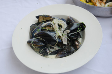 mussels with white wine and cream sauce in a white dish