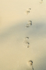 Footprints in the sand at sunset