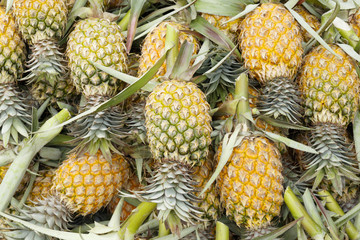 pile of pineapples