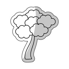 outlined tree skura japanese vector illustration eps 10