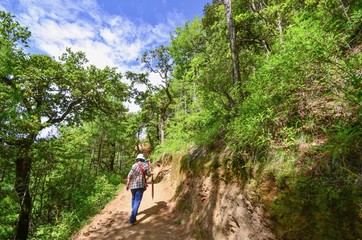 Walking Trail Towards Taktsang Palphug Monastery in Paro, Bhutan