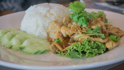 Rice with Garlic Pork.Is a street food of Thailand