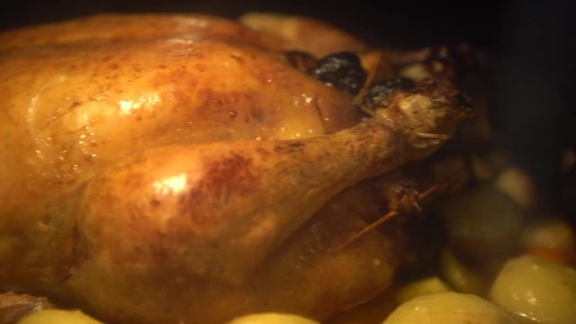 4K Thanksgiving Turkey Cooking In Oven. Preparing tipical delicious chicken food. Tasty traditional dish Thanksgiving Day-Dan