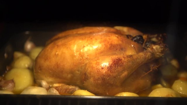 4K Thanksgiving Turkey Cooking In Oven. Preparing tipical delicious chicken food. Tasty traditional dish Thanksgiving Day-Dan