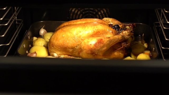 Slow motion Thanksgiving Turkey Cooking In Oven. Slowmo preparing tipical delicious chicken food. Tasty traditional dish Thanksgiving Day-Dan