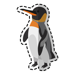 penguin animal icon image vector illustration design 