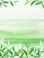 tea leaves watercolor background. Nature frame with hand drawn tea leaves watercolor on abstract green background 