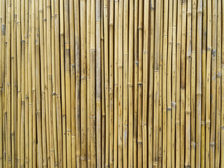 bamboo fence