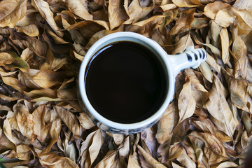 Coffee cup on dry leaves