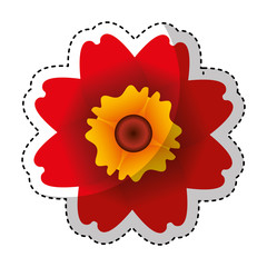 cute flower isolated icon vector illustration design