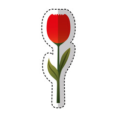 cute flower isolated icon vector illustration design