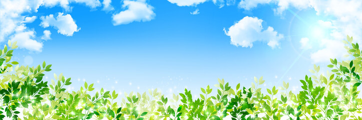新緑　葉　緑　背景  © J BOY