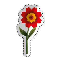 cute flower isolated icon vector illustration design