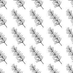 Rooibos tea plant, leaf, flower. Seamless pattern. Hand drawn ink sketch illustration, lineart. African rooibos tea, hot drink. Herbal tea. Isolated on white background. 