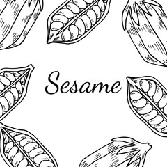 Sesame seed, natural organic butter ingredient. Treatment, care, food ingredient. Ink hand drawn sketch illustration. Square banner, card, template.