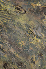 Dark green background