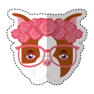 cute french bulldog female with hipster accessory vector illustration design
