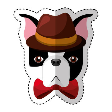 cute french bulldog male with hipster accessory vector illustration design