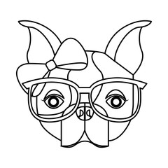 cute french bulldog female with hipster accessory vector illustration design