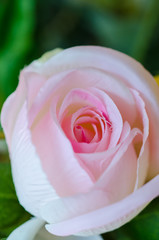 Pink Fabric Rose