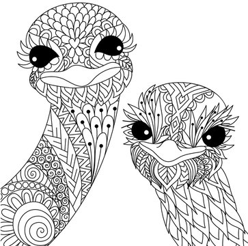 Two cute ostriches line art design for t shirt design and adult coloring book page. Stock Vector