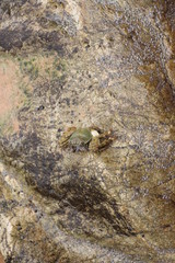 Beautiful unique city of Bangkok in Thailand and Phuket, Ko Samui, Khao LakBeautiful unique city of Bangkok in Thailand and Phuket, Ko Samui, Khao Lak