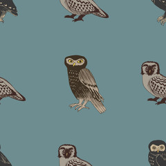 Hand drawn seamless pattern with owls.