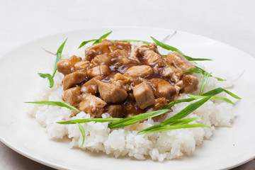 chicken teriyaki with rice close-up