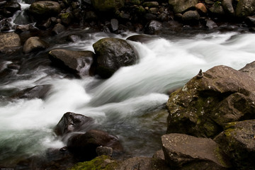 Fototapeta premium Long Exposure of river water flowing downstream with rocks
