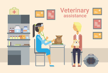 Medical Doctor Veterinarian Cure Animal In Clinic Of Veterinary Assistance Flat Vector Illustration