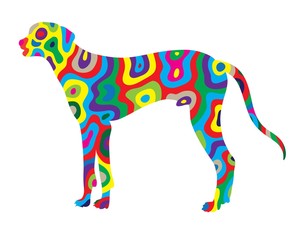 Rainbow Dog 1, art vector colorfully abstract design