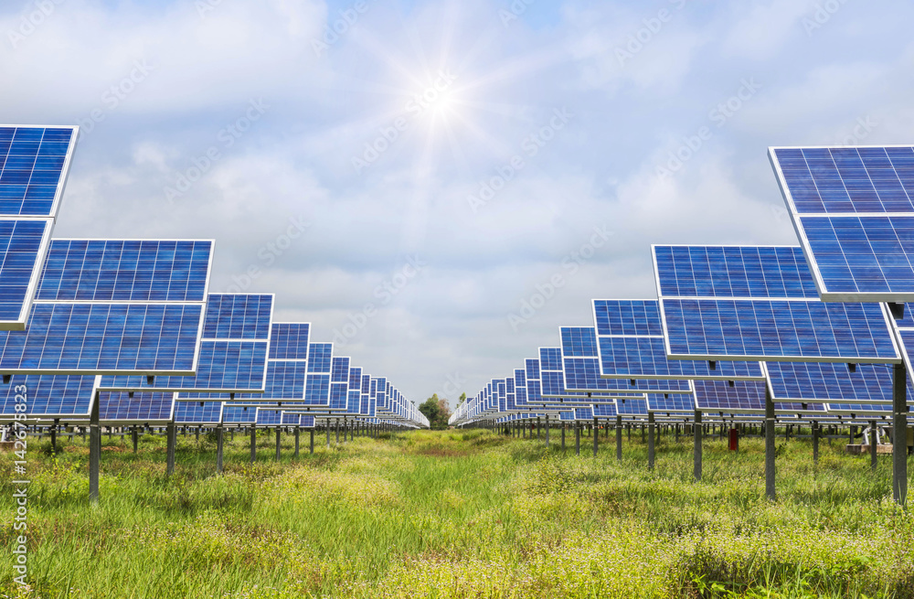 Canvas Prints solar panels in power station alternative energy from the sun 