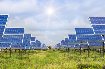 solar panels in power station alternative energy from the sun  - 142675823