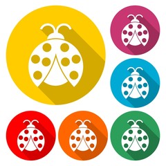 Ladybug icon in flat style - Illustration
