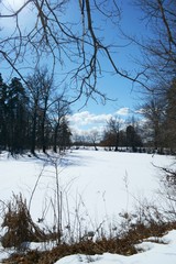 natur winter snow sun river ice