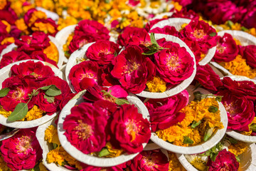 Puja flowers offering during Holi celebration in Vrindavan, India