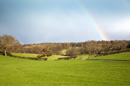 green spring field with rainbow
