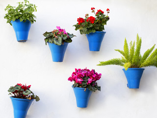 andalusian decoration with typical flowers pots
