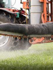 Tractor spraying pesticide on wheat field with sprayer