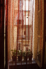 Fototapeta na wymiar Red Window