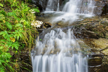 Fototapeta na wymiar Waterfall on mountain river in Carpathian Mountains , Romania