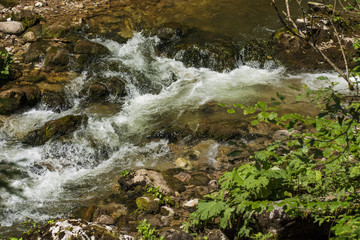 Waterfall on mountain river in Carpathian Mountains , Romania