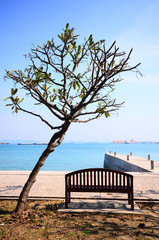 Fototapeta na wymiar Long wooden chair looking at the sea
